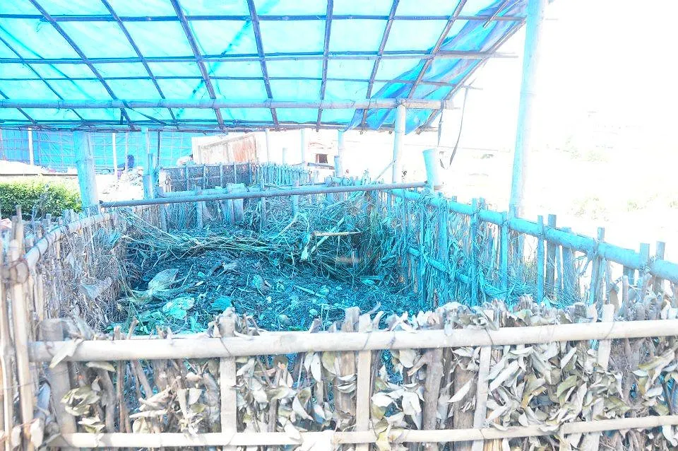Composting beds at the Central Zoo plant in Jawalakhel
